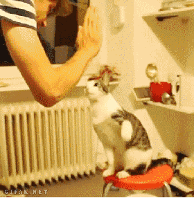 Give me five!